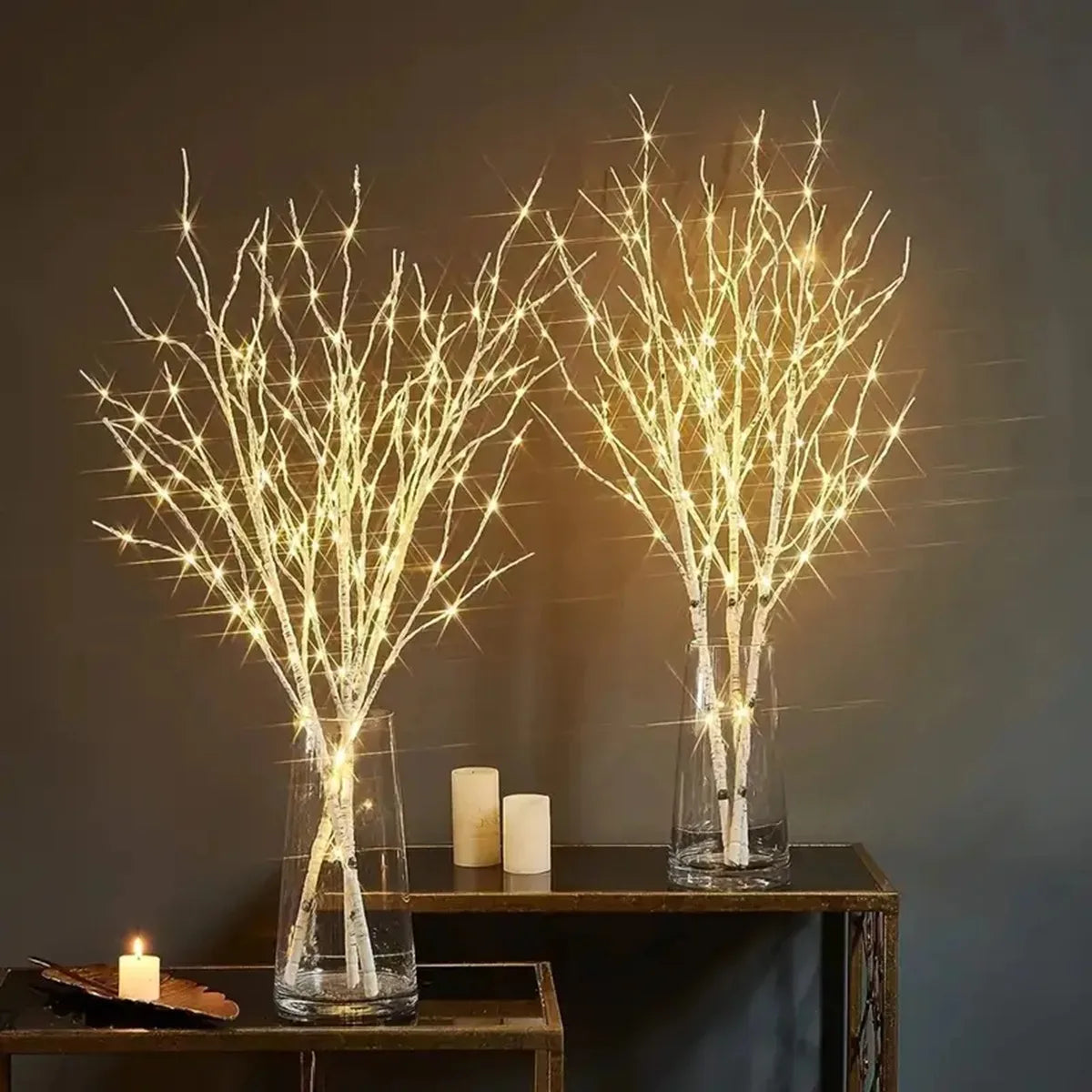 Lit Birch Branch Lights