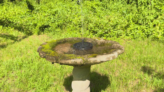 Solar Bird Bath Fountain